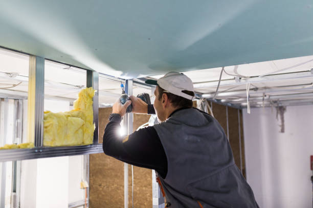 Best Residential Insulation in Coldspring, TX
