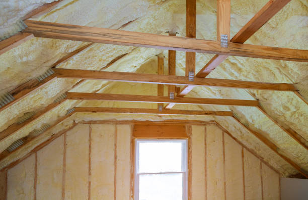 Best Insulation Installation Services in Coldspring, TX