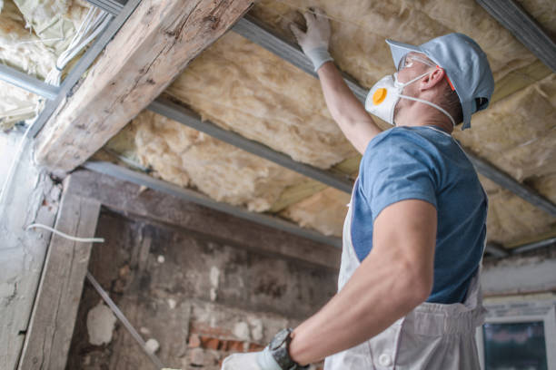 Best Commercial Insulation in Coldspring, TX