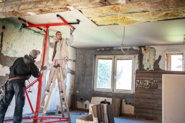 Best Insulation Maintenance and Repair in Coldspring, TX
