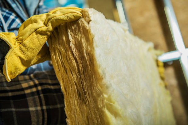 Best Types of Insulation in Coldspring, TX