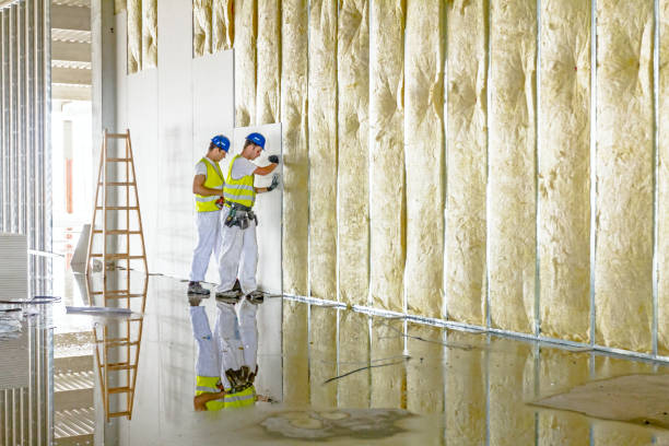 Best Insulation for Specific Applications in Coldspring, TX